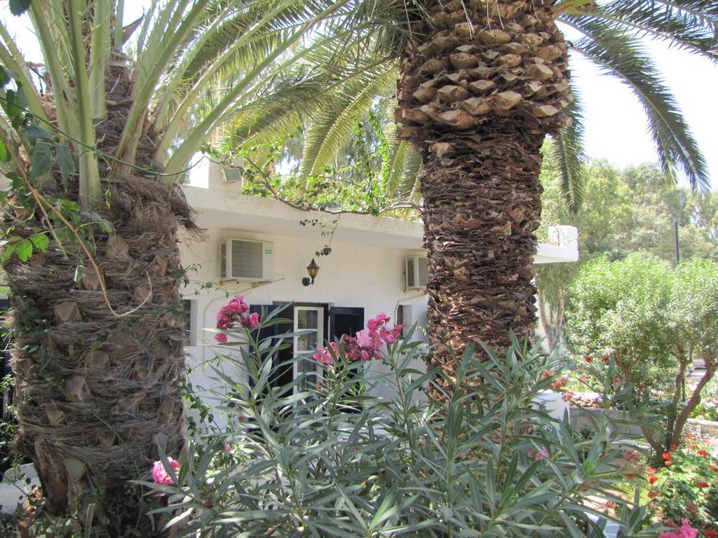 Eden Ios Rooms Μυλοπότας Εξωτερικό φωτογραφία